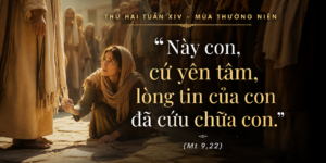 Thu_HaiTuan_XIV_TN