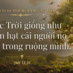 Thu_Hai_Tuan_XVII_TN