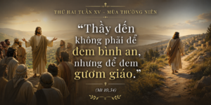 Thu_Hai_Tuan_XV_TN