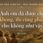Thu_Nam_Tuan_XIV_TN