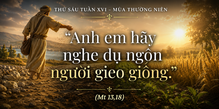 Thu_Sau_Tuan_XVI_TN