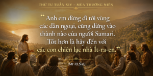 Thu_Tu_Tuan_XIV_TN