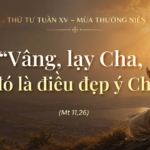 Thu_Tu_Tuan_XV_TN