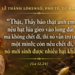 Le_Thanh_Lorexo