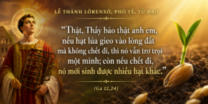 Le_Thanh_Lorexo