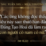 Thu_Sau_Tuan_XIX_TN