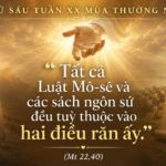 Thu_Sau_Tuan_XX_TN