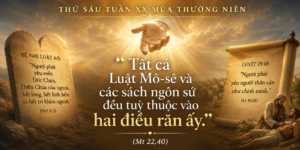 Thu_Sau_Tuan_XX_TN
