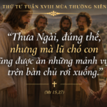 Thu_Tu_Tuan_XVIII_TN