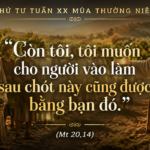 Thu_Tu_Tuan_XX_TN