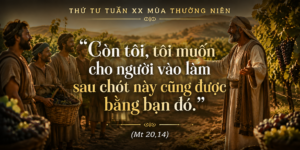 Thu_Tu_Tuan_XX_TN