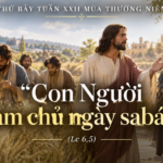 Thu_Bay_Tuan_XXII_TN