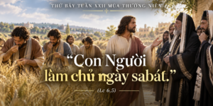 Thu_Bay_Tuan_XXII_TN