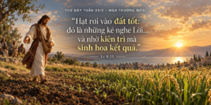 Thu_Bay_Tuan_XXIV_TN