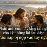 Thu_Bay_Tuan_XXV_TN