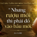 Thu_Sau_Tuan_XXII_TN