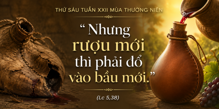 Thu_Sau_Tuan_XXII_TN