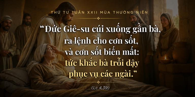 Thu_Tu_Tuan_XXII_TN