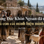 Thu_Tu_Tuan_XXIV_TN