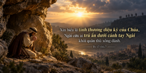 Tv 17_7