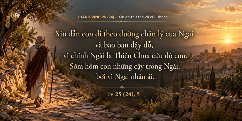 Tv 25_5