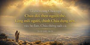 Tv 33_14-15