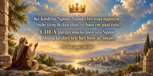 Tv145_19-20
