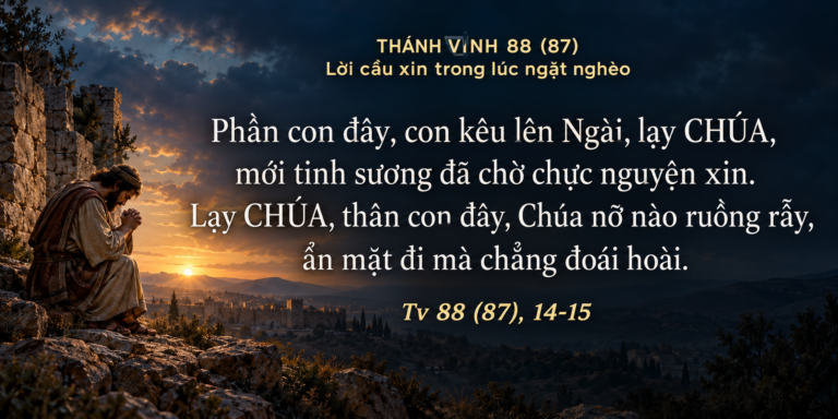 Tv_88_14-15