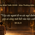 CN_XXVIII_TN_A