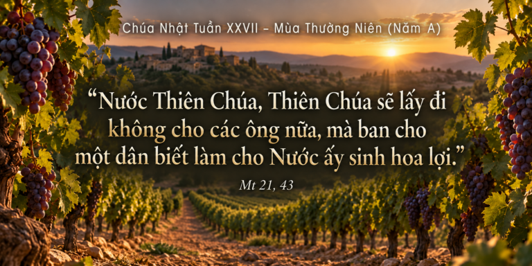 CN_XXVII_TN_A