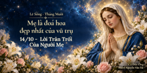 Le_Song_14T10