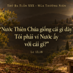 Thu_Ba_Tuan_XXX_TN