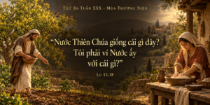 Thu_Ba_Tuan_XXX_TN