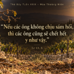 Thu_Bay_Tuan_XXIX_TN