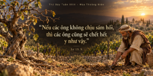 Thu_Bay_Tuan_XXIX_TN