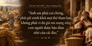 Thu_Hai_Tuan_XXIX_TN