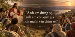 Thu_Sau_Tuan_XXVIII_TN