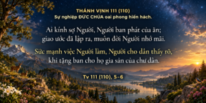 Tv 111_5-6